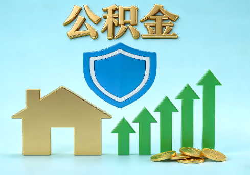 滨海当前住房公积金提取条件分类指南与政策趋势
